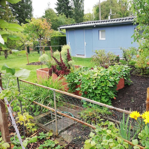 Endlich einen Kleingarten - und wie weiter?