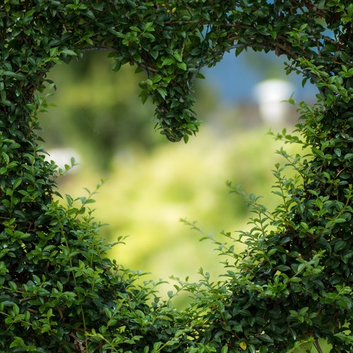 jährlichen Gartenbegehung
