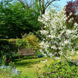 Heute findet unsere alljährliche Gartenbegehung statt